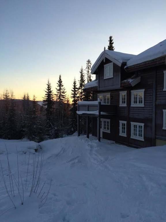 Flat In Trysil Ski In Ski Out And Sauna Exterior photo